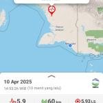 Gempa 5,9 SR Guncang Papua Selatan Tidak Berpotensi Tsunami