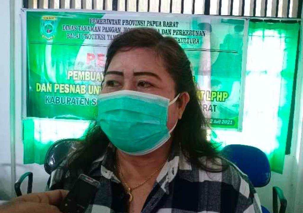 Cegah Perluasan Hama dan OPT, Laboratorium PHP Menggelar Pelatihan Pembuatan Agens Hayati