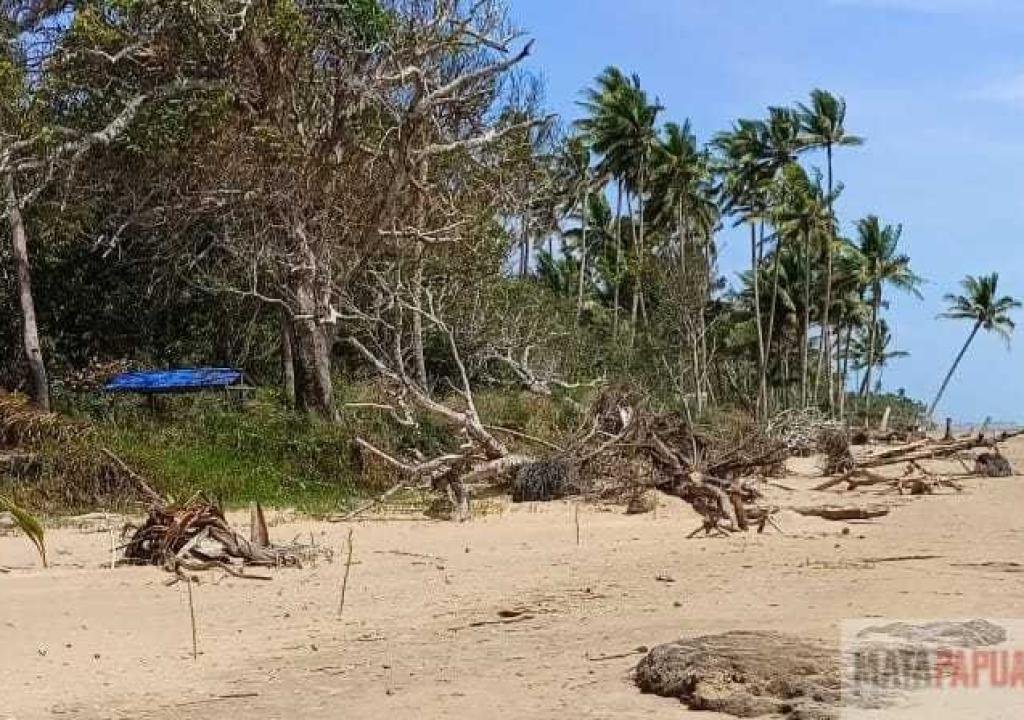 WWF sebut Kampung Wendu Merauke terancam hilang akibat abrasi