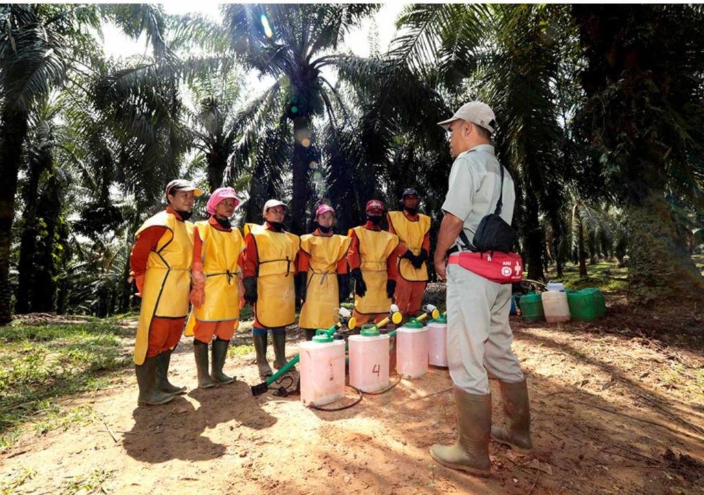 Grup ANJ Raih Nilai Terbaik untuk Pengelolaan Risiko ESG dan Transparansi